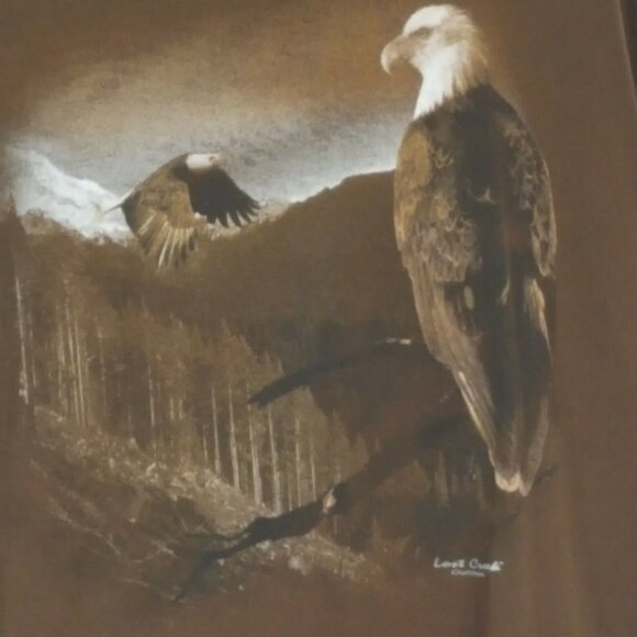 Lost Creek Outfitters Men's Shirt 2XL Eagles Brown Short Sleeve 100% Cotton Vtg - Picture 3 of 9